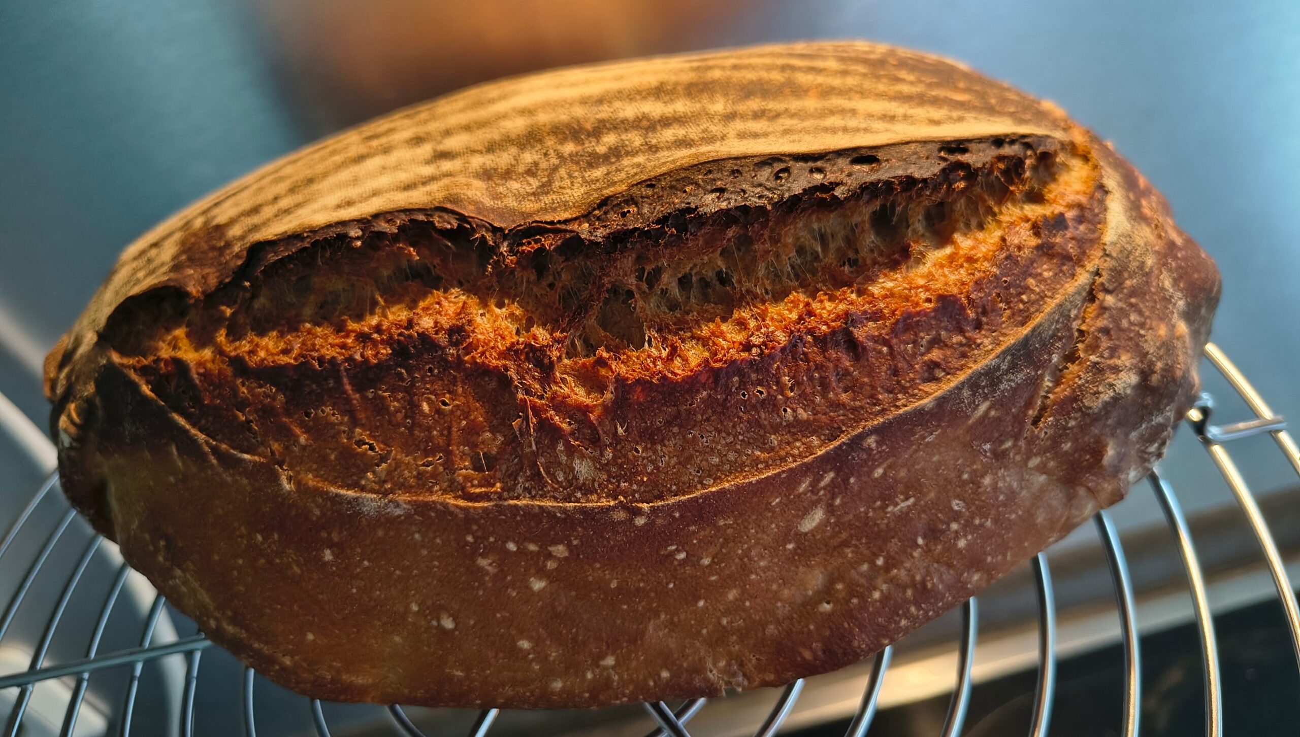 Mein einfaches Sauerteigbrot